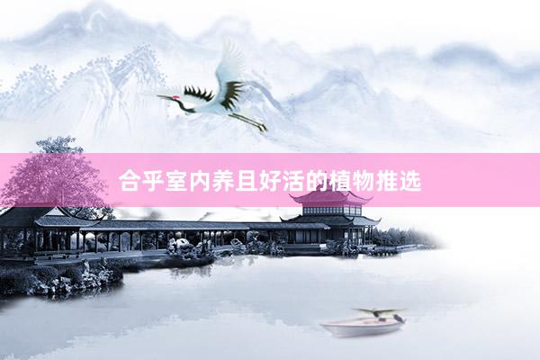 合乎室内养且好活的植物推选